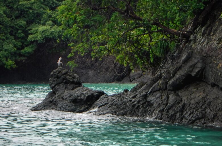 Enfoque Post Covid del Turismo en Panamá